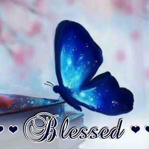 Meet your Posher, Gequeta